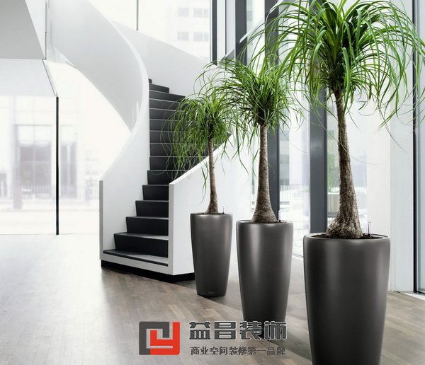 益昌裝飾花卉租賃服務(wù)